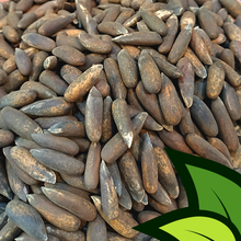 Load image into Gallery viewer, Pine Nuts Black (Banu Chilghoza Shelled) - Organic Co

