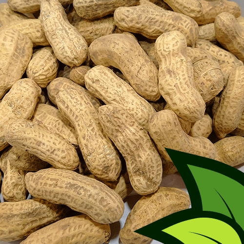Parachinar Peanuts (Mongphali Unshelled) - Organic Co