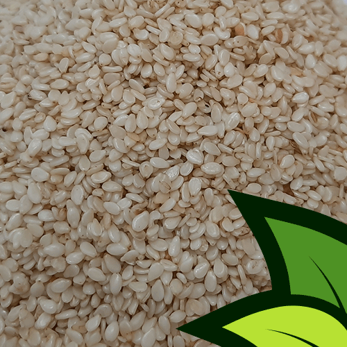 Sesame Seeds (Til) - Organic Co
