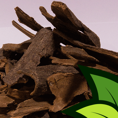 Cinnamon Sticks (Darchini) - Organic Co
