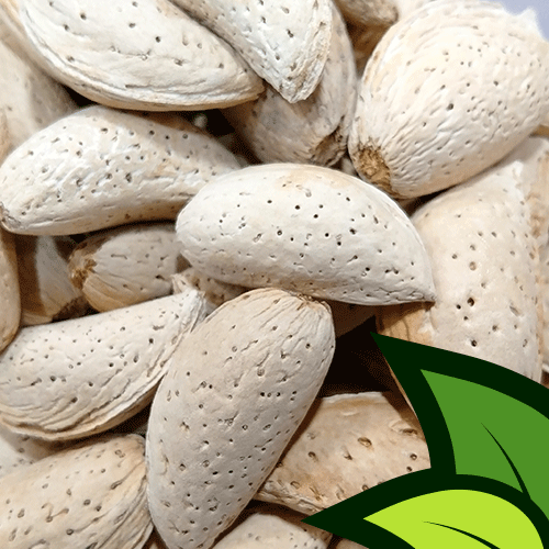 Abdulwadi Almonds (Desi Badaam Shelled) - Organic Co