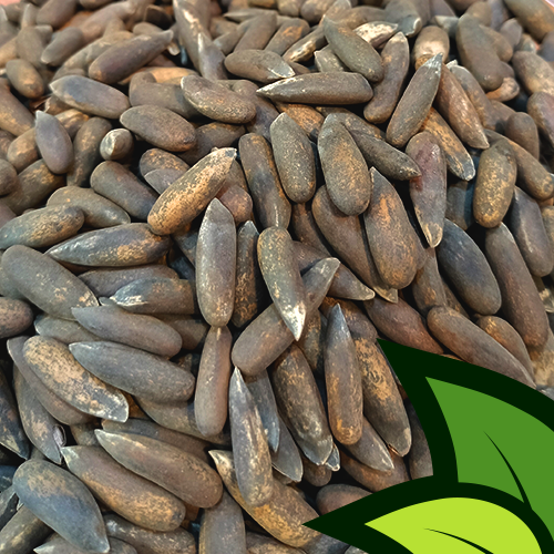 Pine Nuts Black (Banu Chilghoza Shelled) - Organic Co