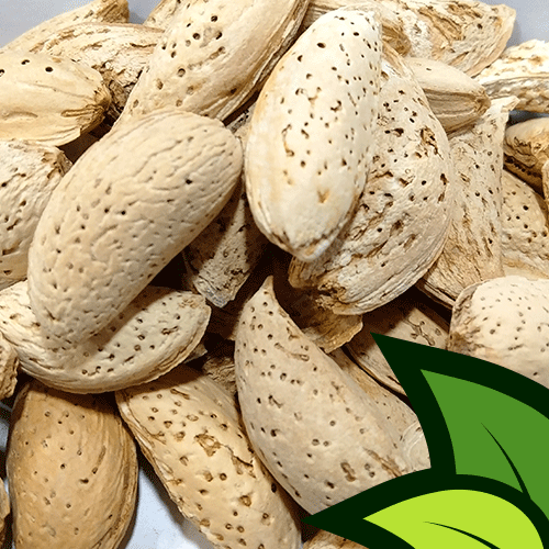 Kheradani Almonds (Desi Badaam Shelled) - Organic Co