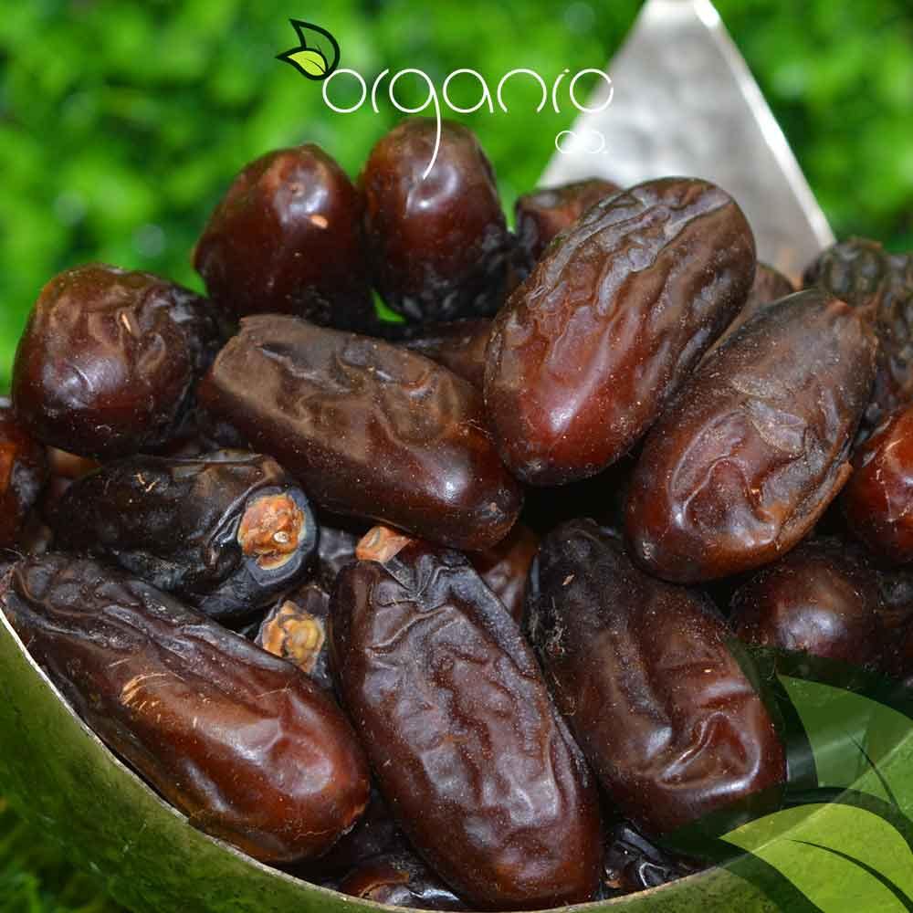 Rabbi Dates (Irani Chocolate Khajoor) - Organic Co