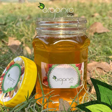 Load image into Gallery viewer, Sesame Oil (Till oil) - Cold-pressed - Organic Co
