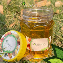 Load image into Gallery viewer, Walnut Oil (Akhrot Oil) - Cold-pressed - Organic Co
