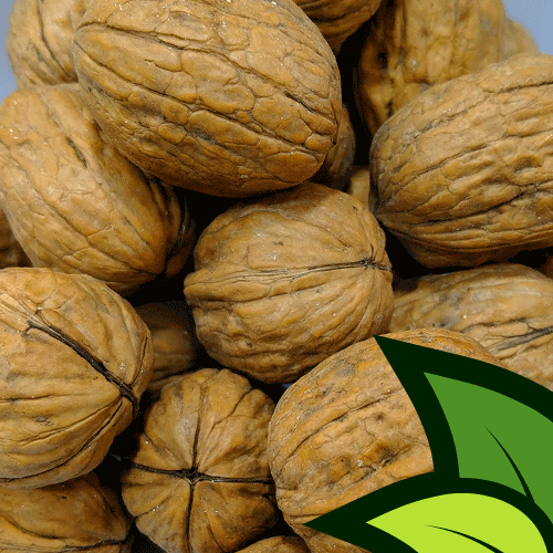 American Walnuts (Kaghazi Akhrot Shelled) - Organic Co
